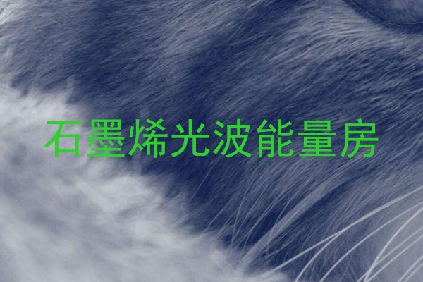 石墨烯光波能量房