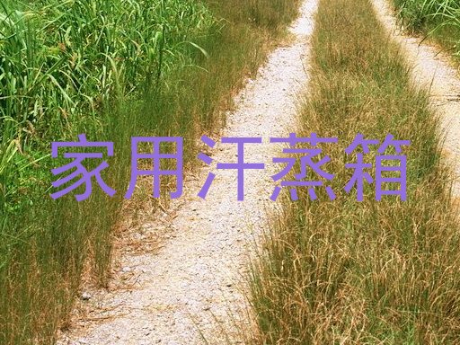 家用汗蒸箱