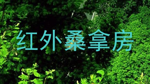 红外桑拿房