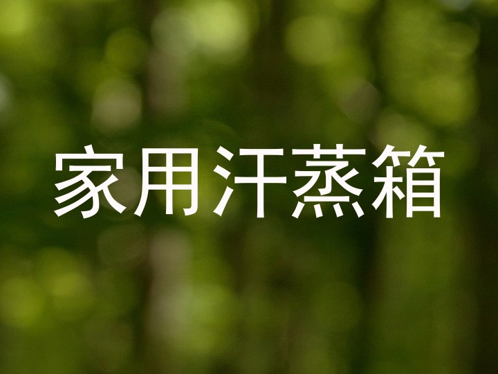 家用汗蒸箱