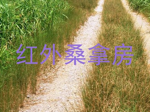 红外桑拿房