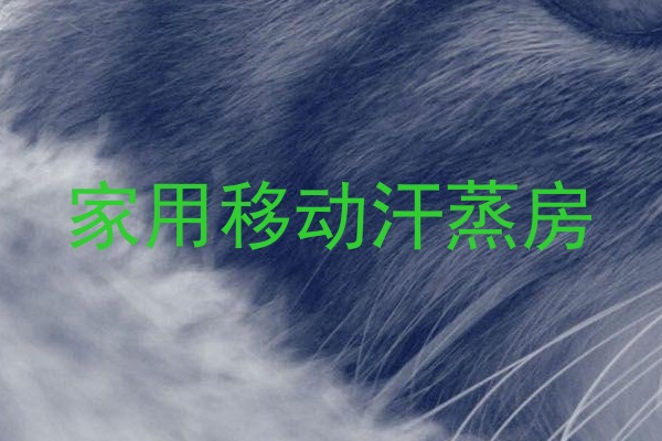 家用移动汗蒸房