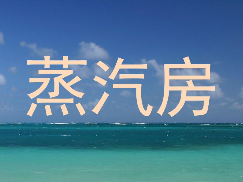 蒸汽房