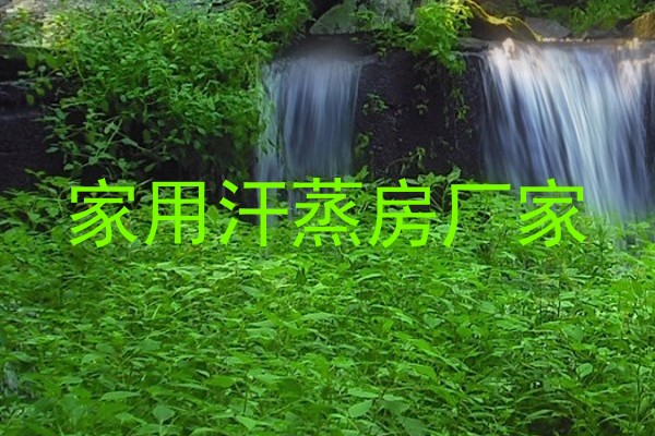 家用汗蒸房厂家