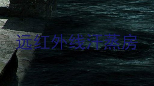 远红外线汗蒸房