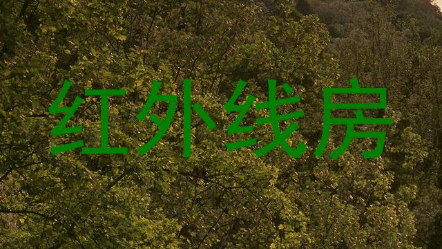 红外线房