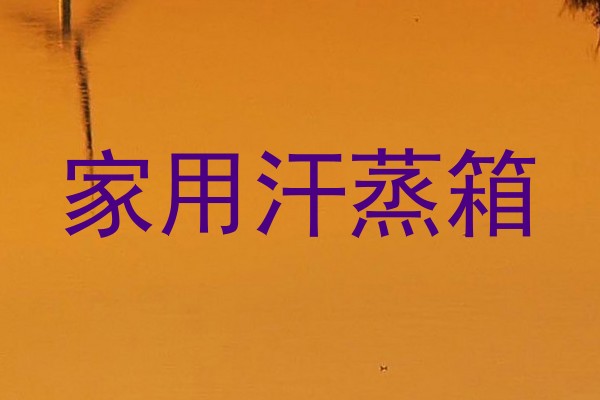 家用汗蒸箱