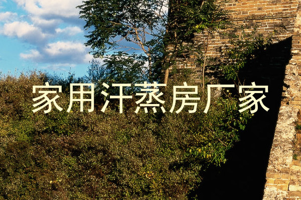 家用汗蒸房厂家