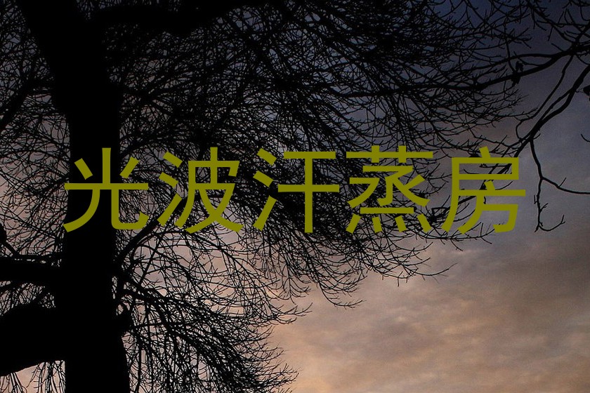 光波汗蒸房