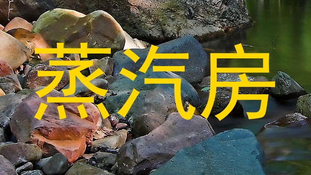 蒸汽房