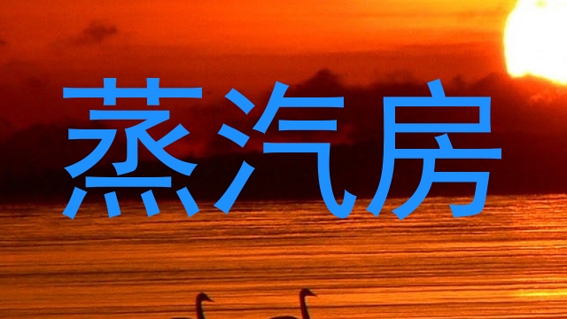 蒸汽房