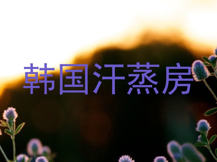 韩国汗蒸房
