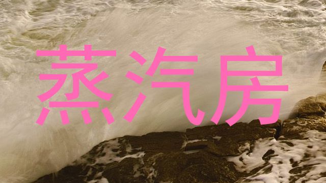 蒸汽房
