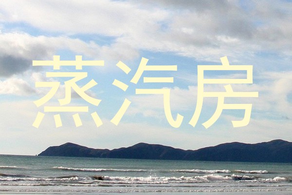 蒸汽房