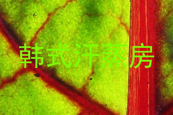 韩式汗蒸房