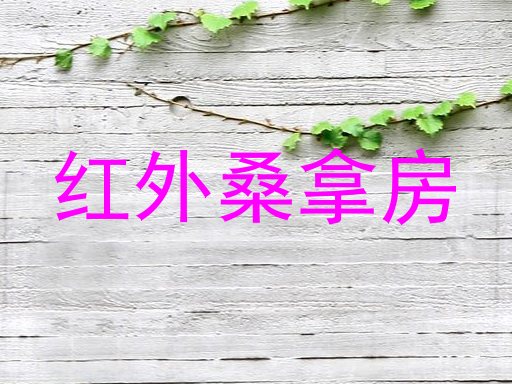 红外桑拿房