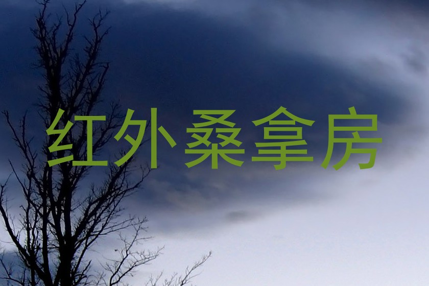 红外桑拿房
