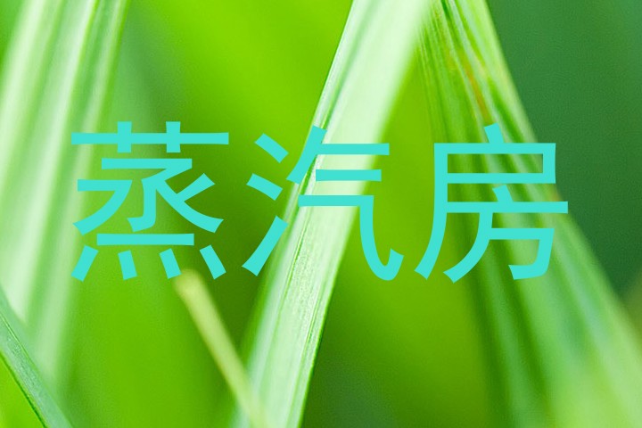 蒸汽房