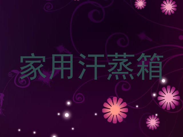 家用汗蒸箱