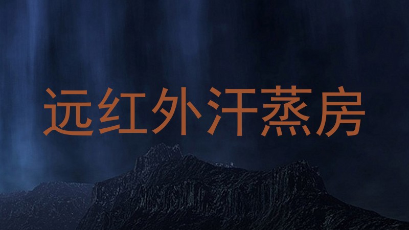 远红外汗蒸房