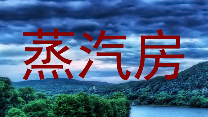 蒸汽房