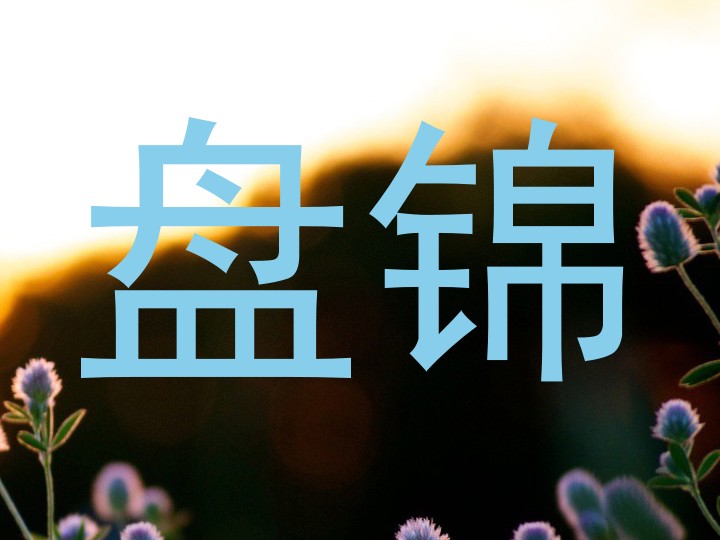 盘锦