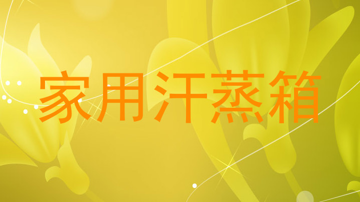 家用汗蒸箱