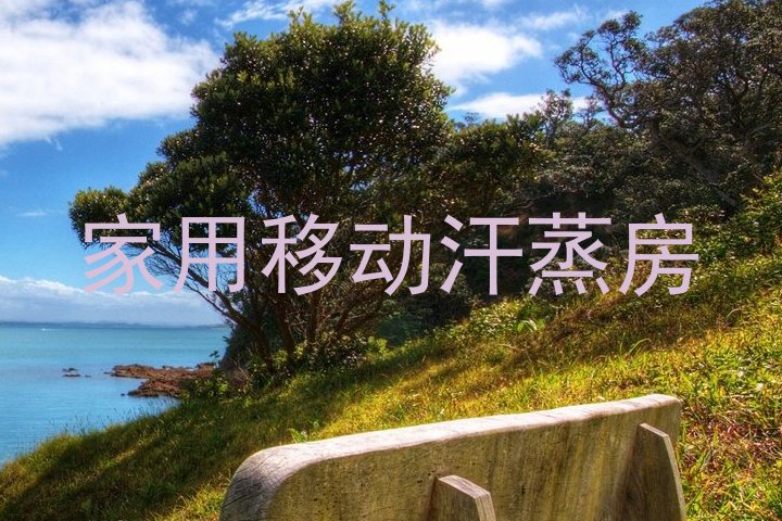 家用移动汗蒸房