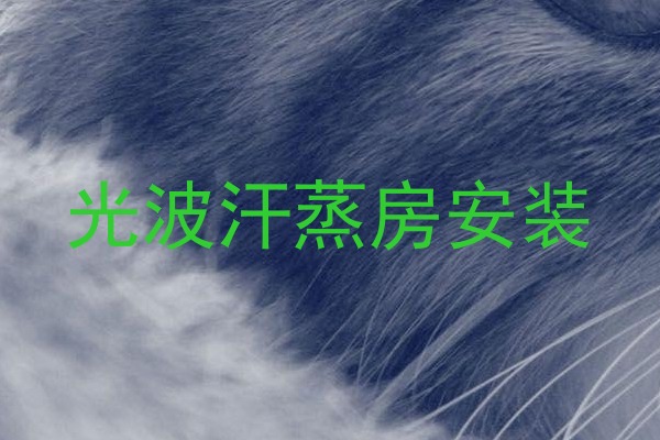 光波汗蒸房安装
