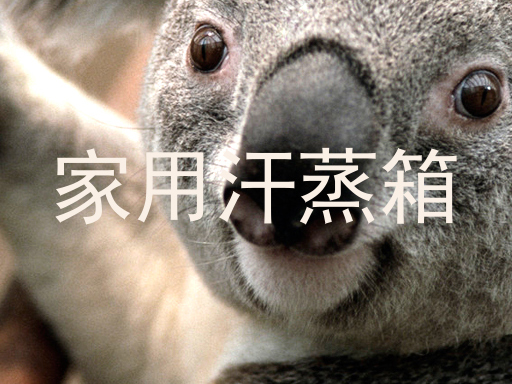 家用汗蒸箱