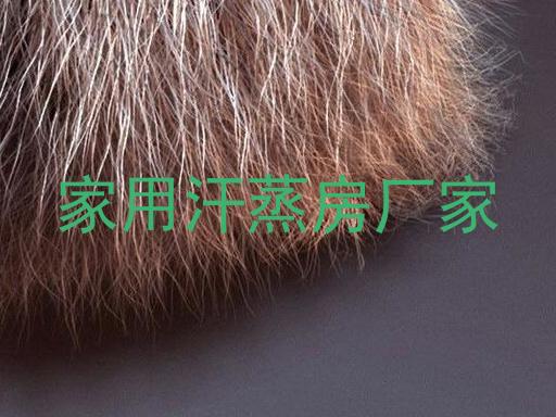 家用汗蒸房厂家