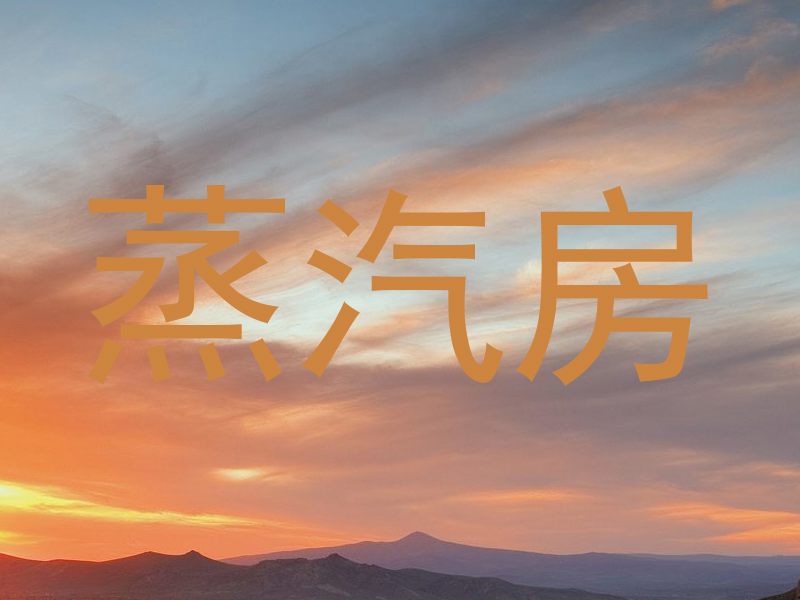蒸汽房