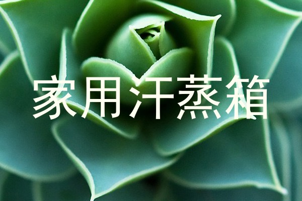 家用汗蒸箱