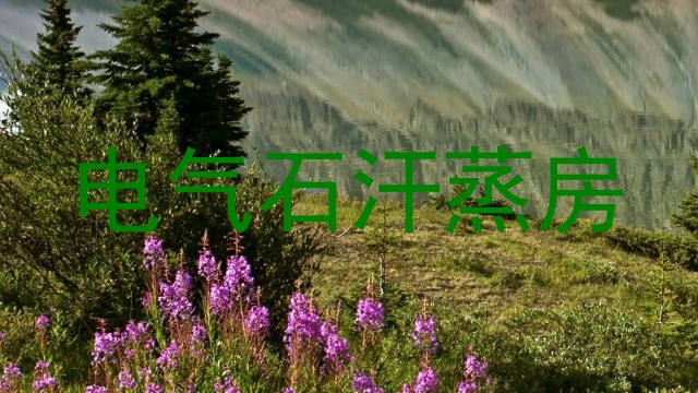 电气石汗蒸房