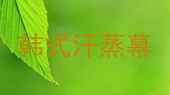 韩式汗蒸幕