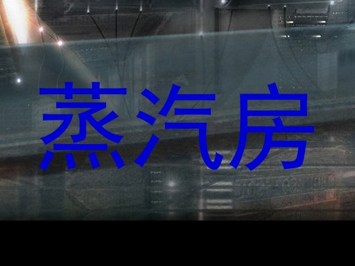 蒸汽房
