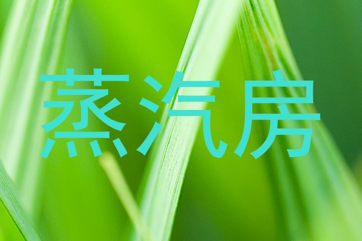 蒸汽房