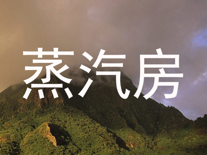 蒸汽房
