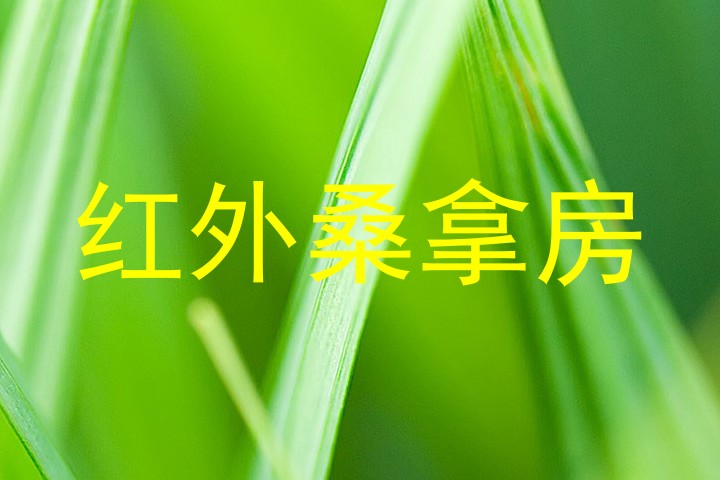 红外桑拿房