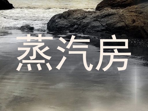 蒸汽房