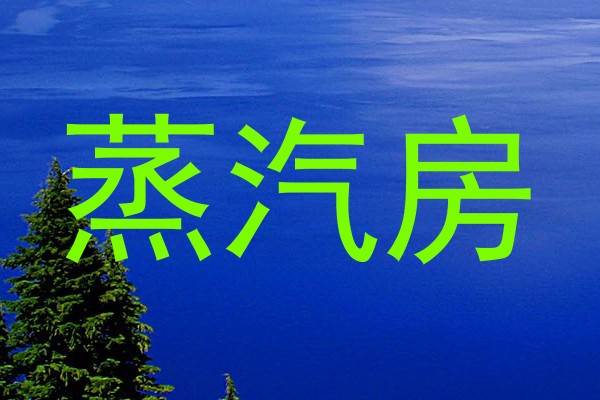 蒸汽房