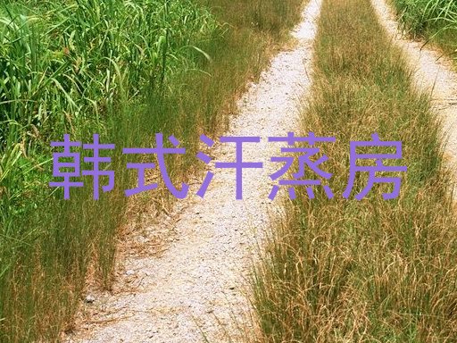 韩式汗蒸房