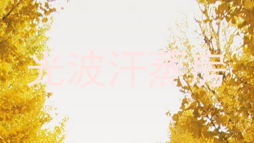 光波汗蒸房