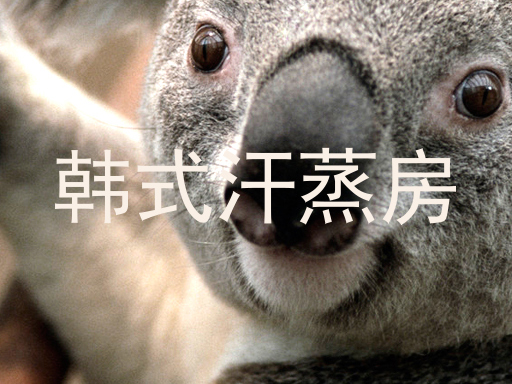 韩式汗蒸房