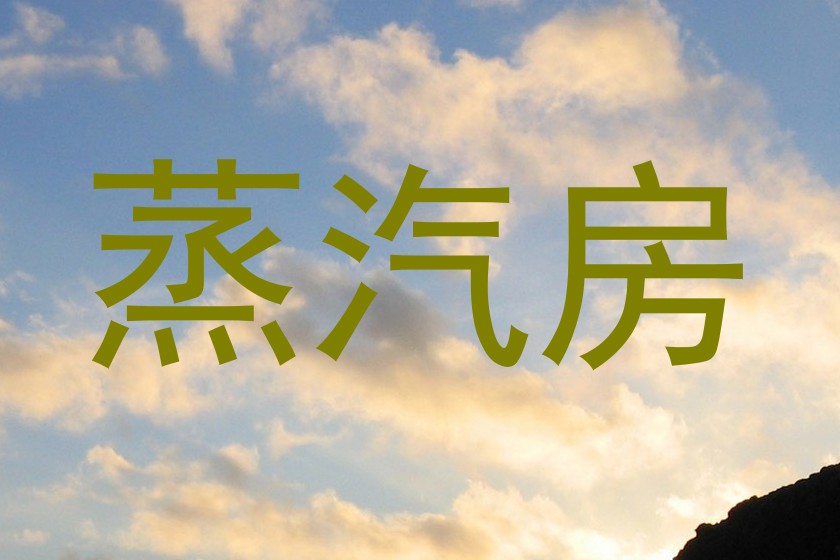 蒸汽房