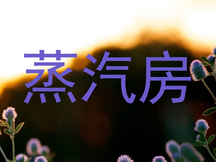蒸汽房