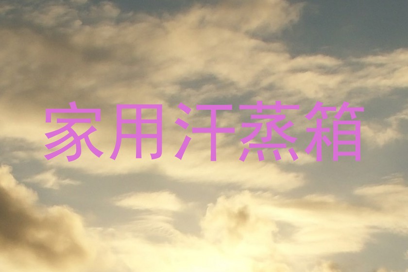 家用汗蒸箱