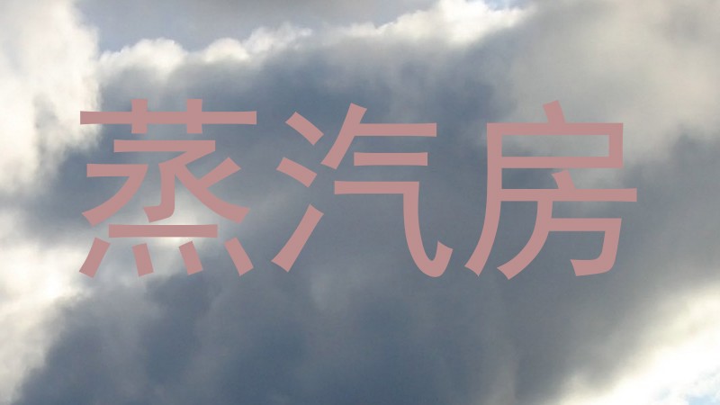蒸汽房