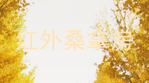 红外桑拿房
