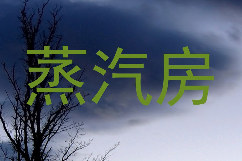 蒸汽房